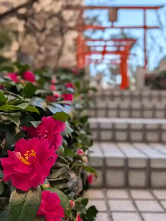 銀世界稲荷神社(東京都)