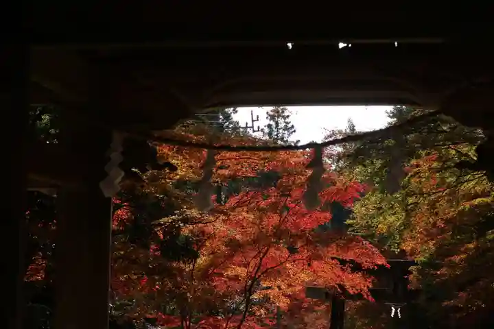 大矢田神社(岐阜県)