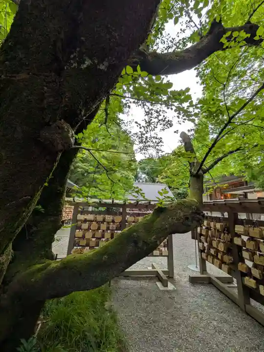乃木神社(東京都)