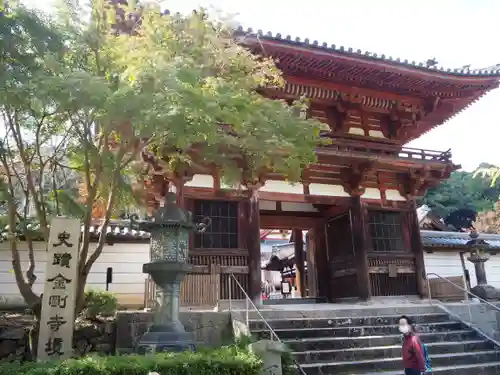 金剛寺の山門