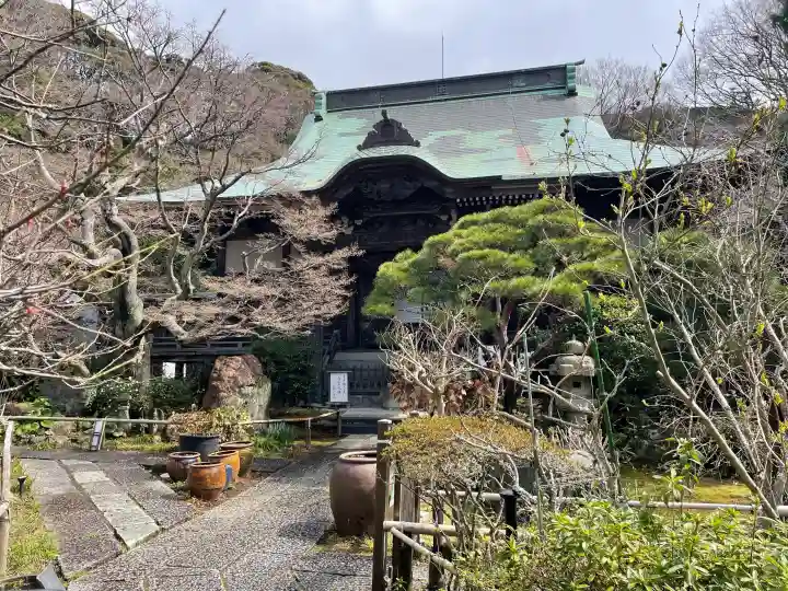 妙法寺の{uncategorized: "未分類", other: "その他", undefined: "問題あり", building: "その他建物", grave: "お墓", sacred_gate: "鳥居", guardian: "狛犬", statue: "像", buddha: "仏像", history: "歴史", nature: "自然", garden: "庭園", animal: "動物", pagoda: "塔", temizu: "手水舎", mountain_gate: "山門・神門", sanctuary: "本殿・本堂", subordinate: "末社・摂社", art: "芸術", scenery: "景色", jizo: "地蔵", ema: "絵馬", goshuin: "御朱印", omikuji: "おみくじ", items: "授与品その他", amulet: "お守り", goshuincho: "御朱印帳", eats: "食事", festival: "お祭り", votive_dance: "神楽", shichigosan: "七五三参", wedding: "結婚式", experience: "体験その他", initially: "初詣", around: "周辺", anti_infection: "感染症対策"}