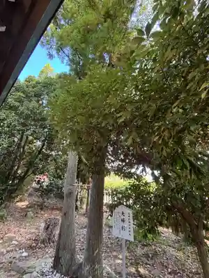 市杵島姫神社(兵庫県)