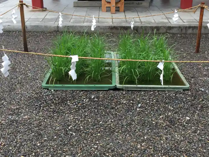 美濃國一宮 南宮大社の庭園