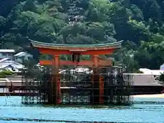 厳島神社の鳥居