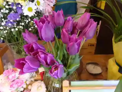 泉蔵寺のその他建物