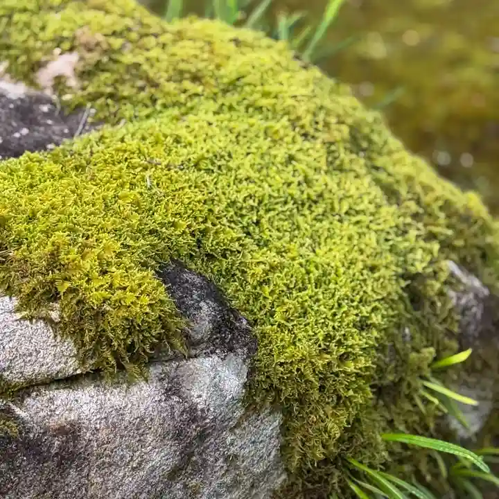 伊勢の国 四天王寺(三重県)