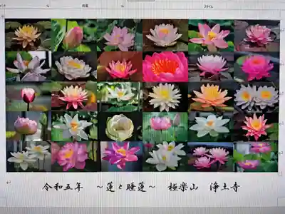 極楽山　浄土寺(北海道)