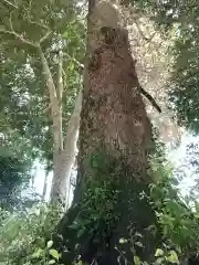 九万八千神社(埼玉県)