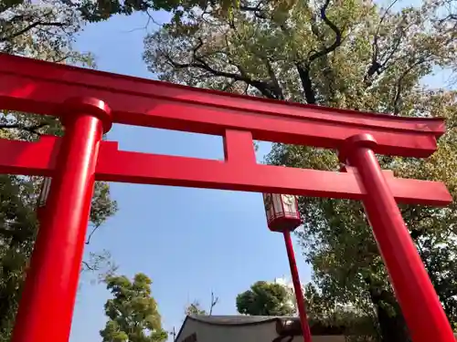 富岡八幡宮の鳥居