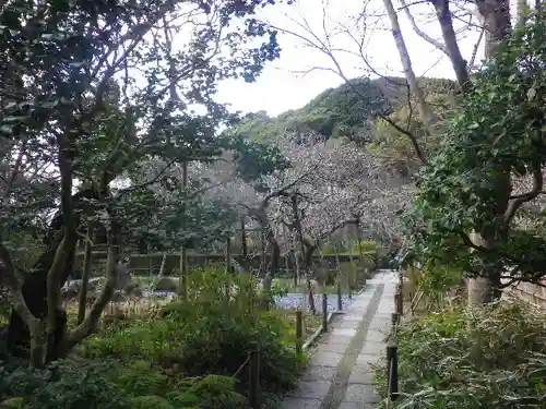 瑞泉寺の景色