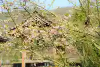 赤堂観音の自然