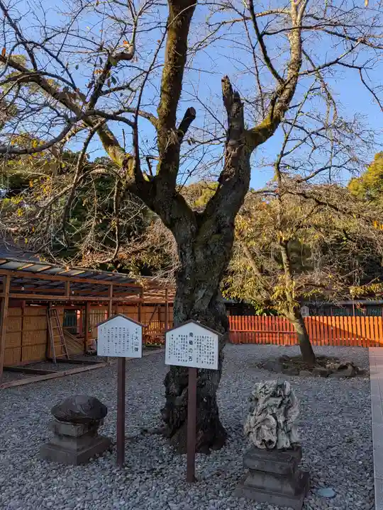 富士山本宮浅間大社(静岡県)