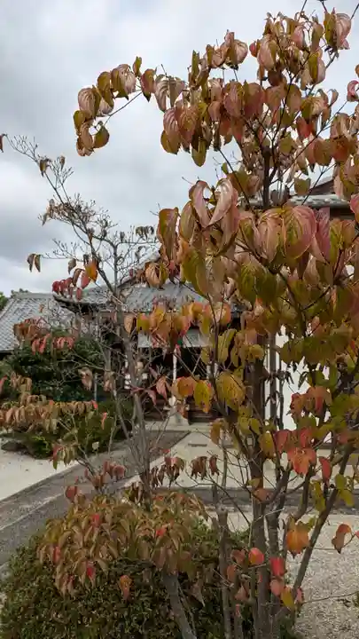 嘉祥寺(京都府)