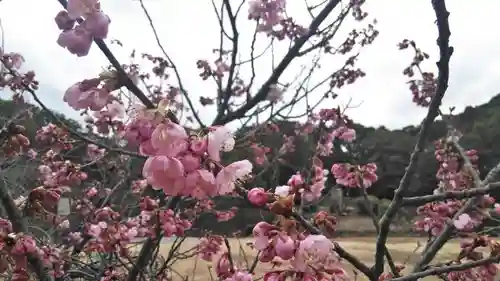 勧修寺の自然