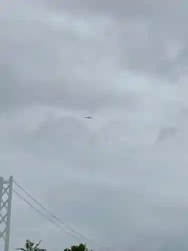 舞子六神社／まいこむの宮(兵庫県)