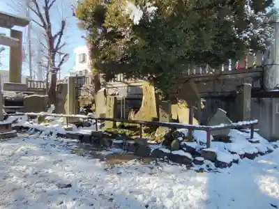 白鬚神社(東京都)