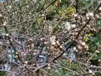 豊景神社(福島県)