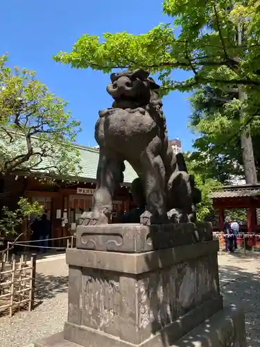 根津神社の狛犬