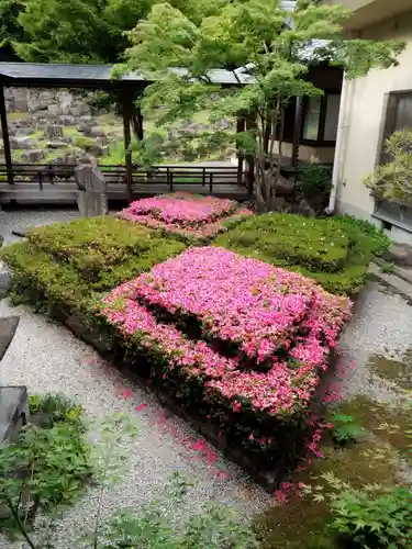 東光寺の庭園