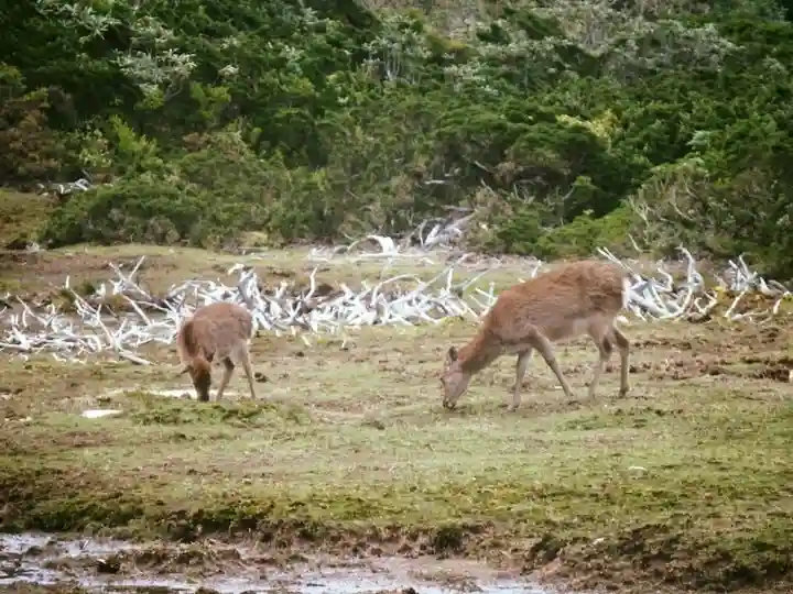 益救神社奥宮(鹿児島県)