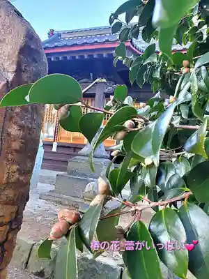 晴門田神社(福島県)