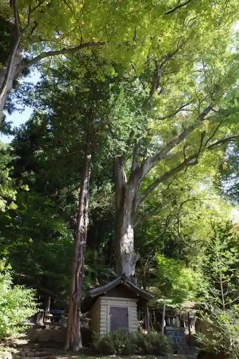 手長神社(長野県)
