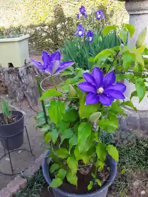 伏木香取神社(茨城県)