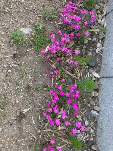 東光寺（観音堂）(神奈川県)