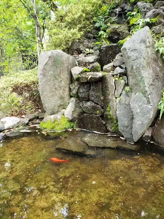 熊野神社(東京都)