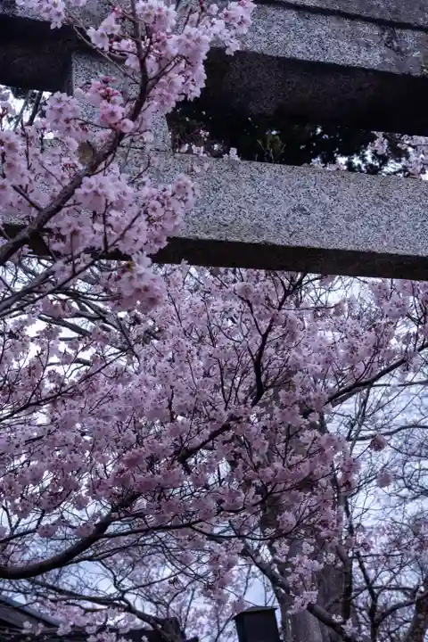 新城藤原神社(長野県)