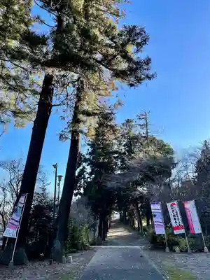 千代ケ岡八幡宮(栃木県)