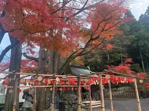 温泉神社〜いわき湯本温泉〜の庭園