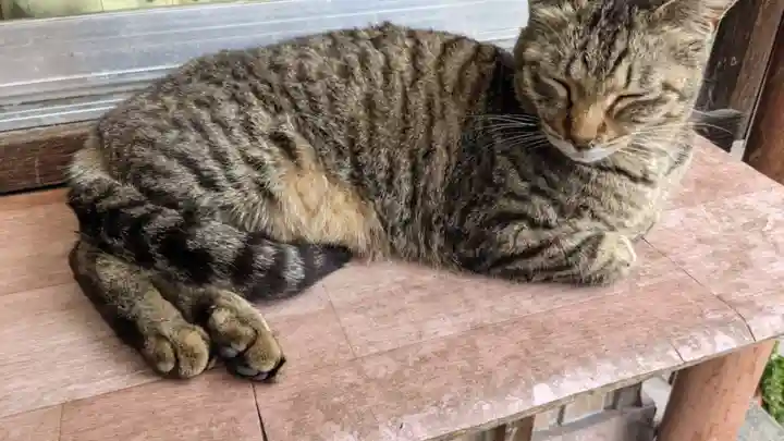 福住寺(愛知県)