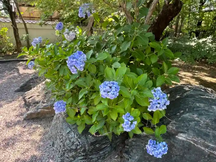 遍照院(埼玉県)