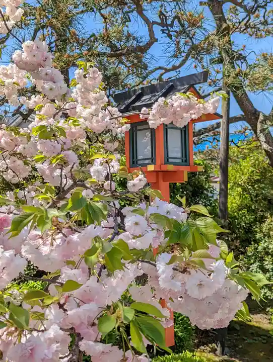 西院春日神社(京都府)