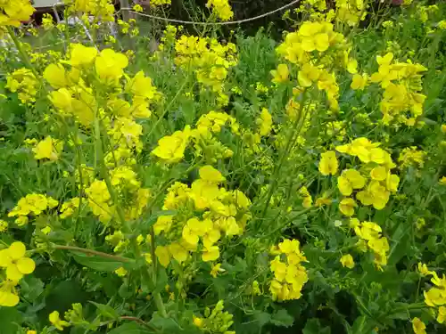 阿邪訶根神社の自然