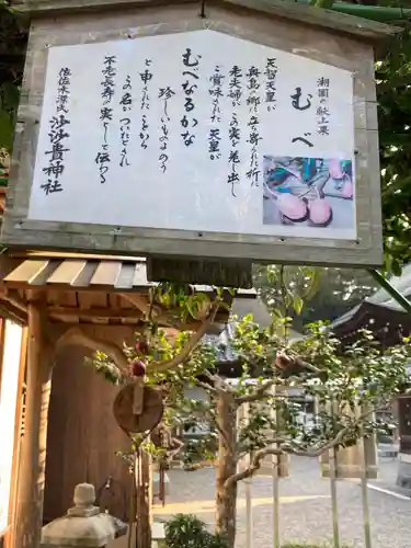 沙沙貴神社の自然