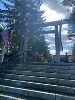 上川神社の鳥居