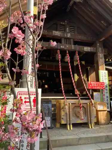 波除神社（波除稲荷神社）の本殿・本堂