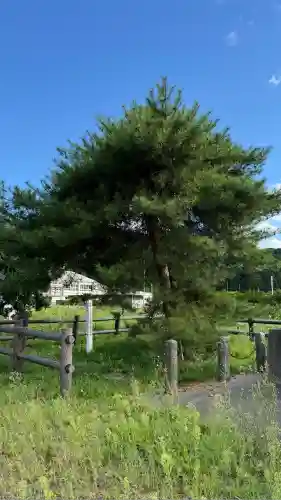 落部八幡宮(北海道)