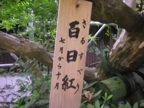 長谷寺のその他建物