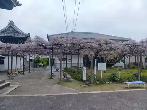 竹鼻別院(岐阜県)
