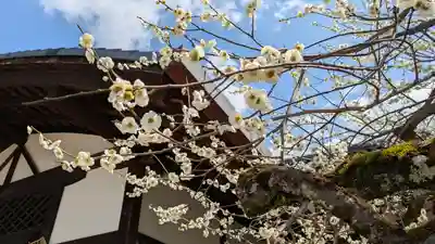 北野天満宮(京都府)