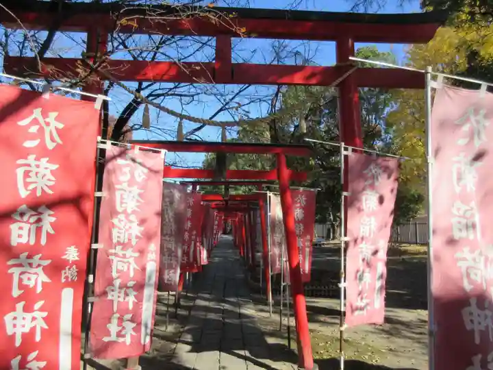於菊稲荷神社の鳥居
