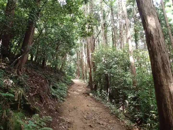 太平山神社の自然