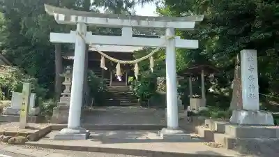 辛科神社(群馬県)