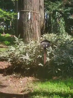 長沼八幡宮(栃木県)