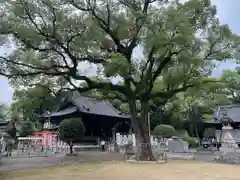 楠村天満宮の建物その他