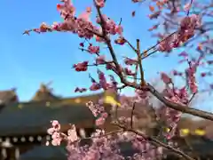 湯島天満宮(長野分社)(長野県)