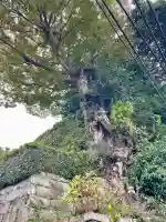長壽寺(長寿寺)(神奈川県)